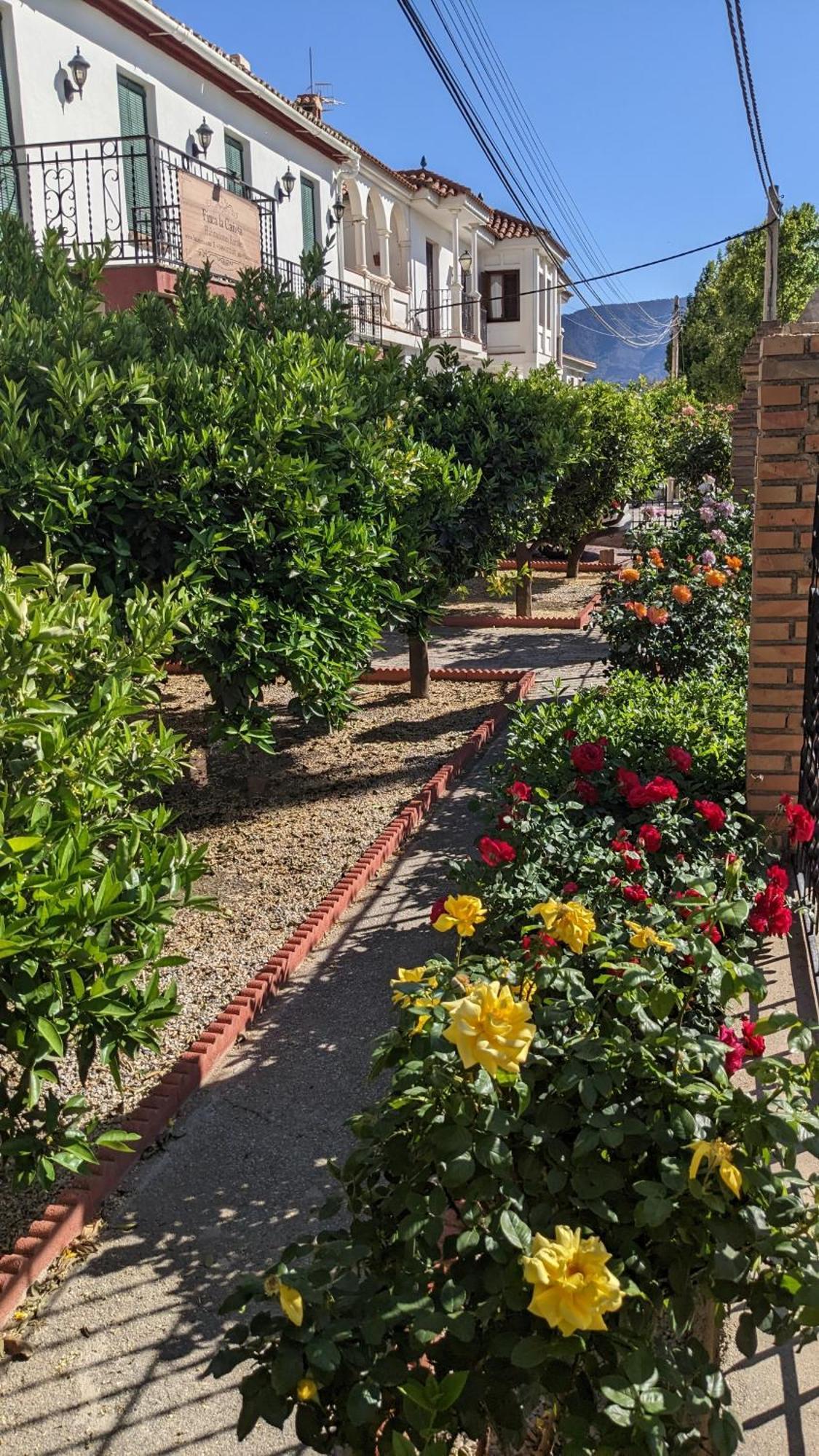 La Cañota 2-Floors King Rooms Adults Only Talara Exterior foto